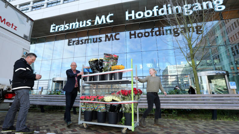 Corona virus enorme impact op bloembollensector