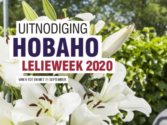 Hobaho Lelieweek 2020