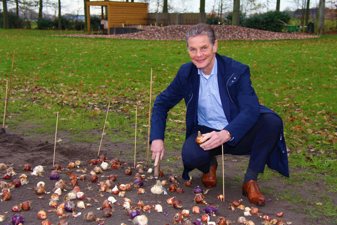 Directie plant bollen in Hobaho tuin op Keukenhof