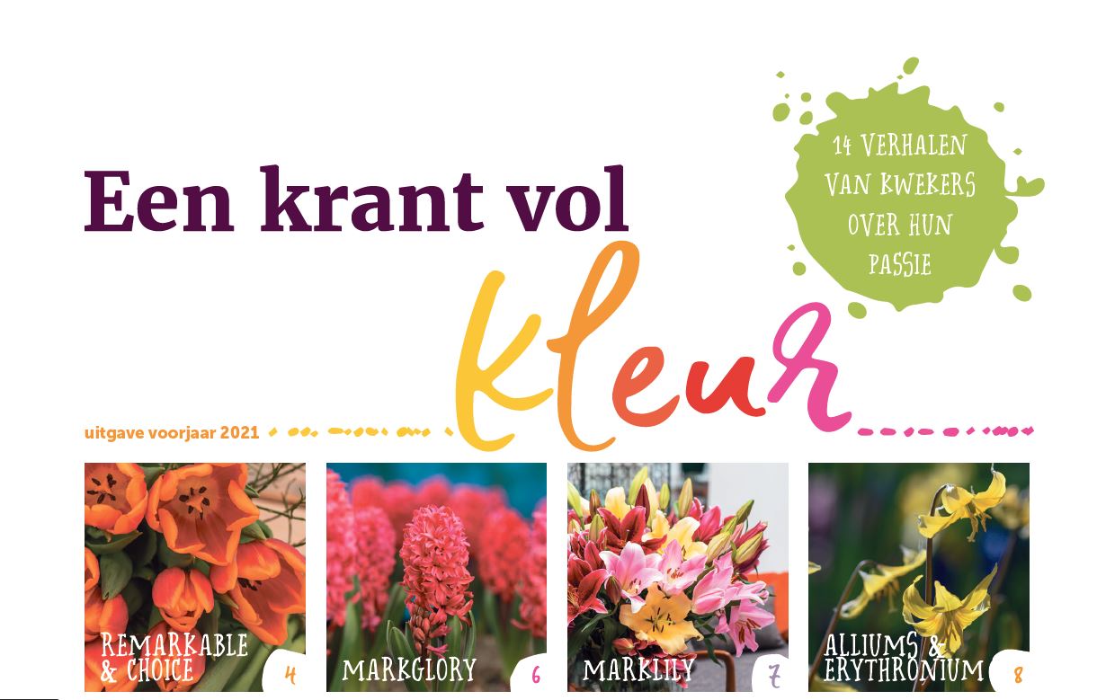 Hobaho brengt krant vol kleur uit