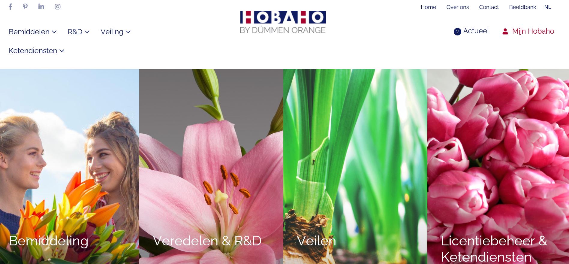 Website Hobaho vernieuwd