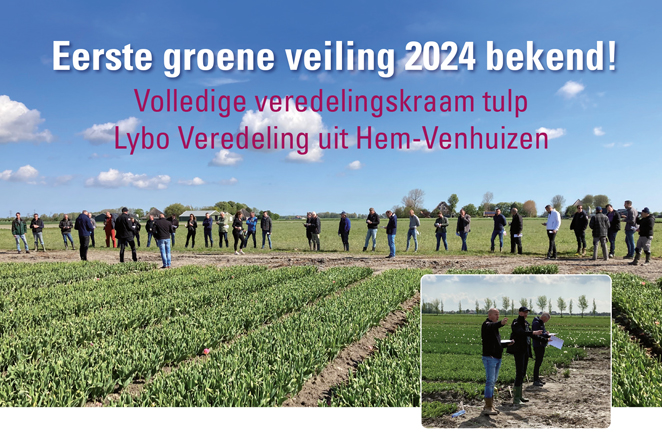 Eerste groene veiling 2024 bekend