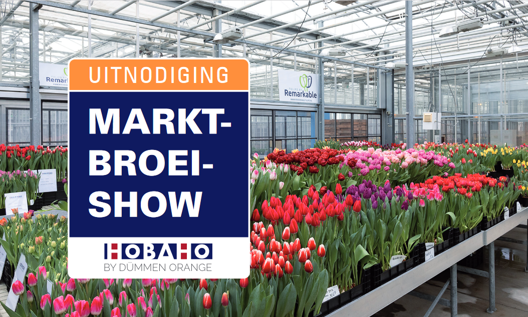 Marktbroeishow tweede trek 29 en 30 januari 