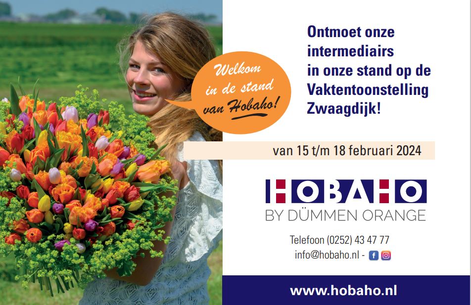 Vaktentoonstelling