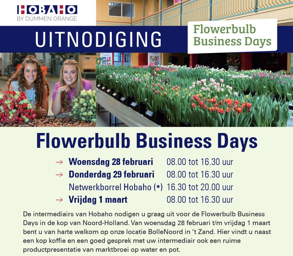 Marktbroeishow Hobaho tijdens de Flowerbulb Businessdays