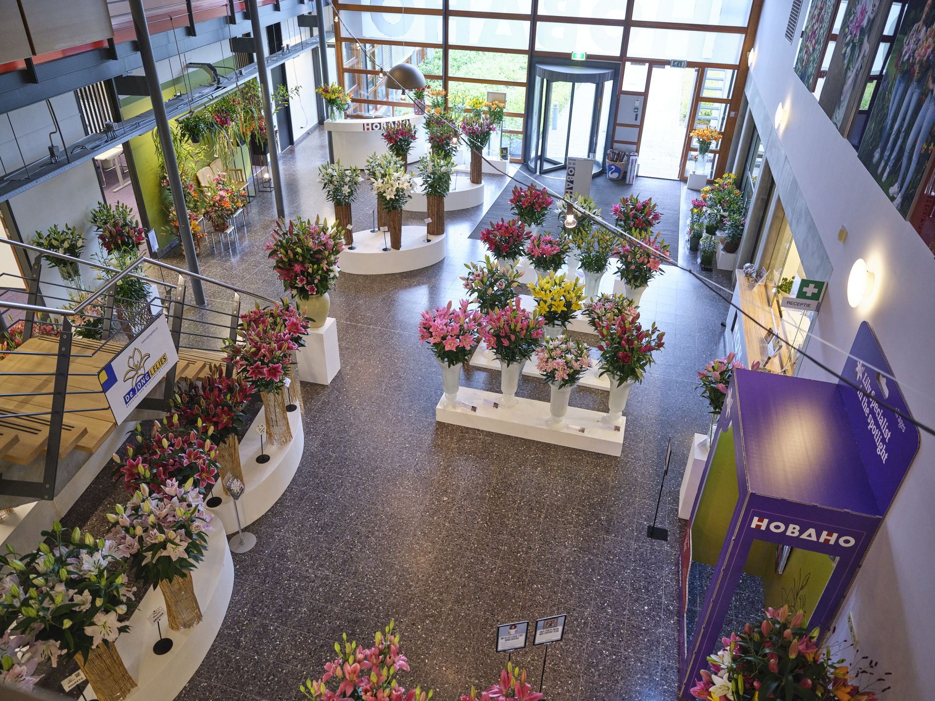 Terugblik: drie inspirerende dagen vol lelies en ontmoetingen 