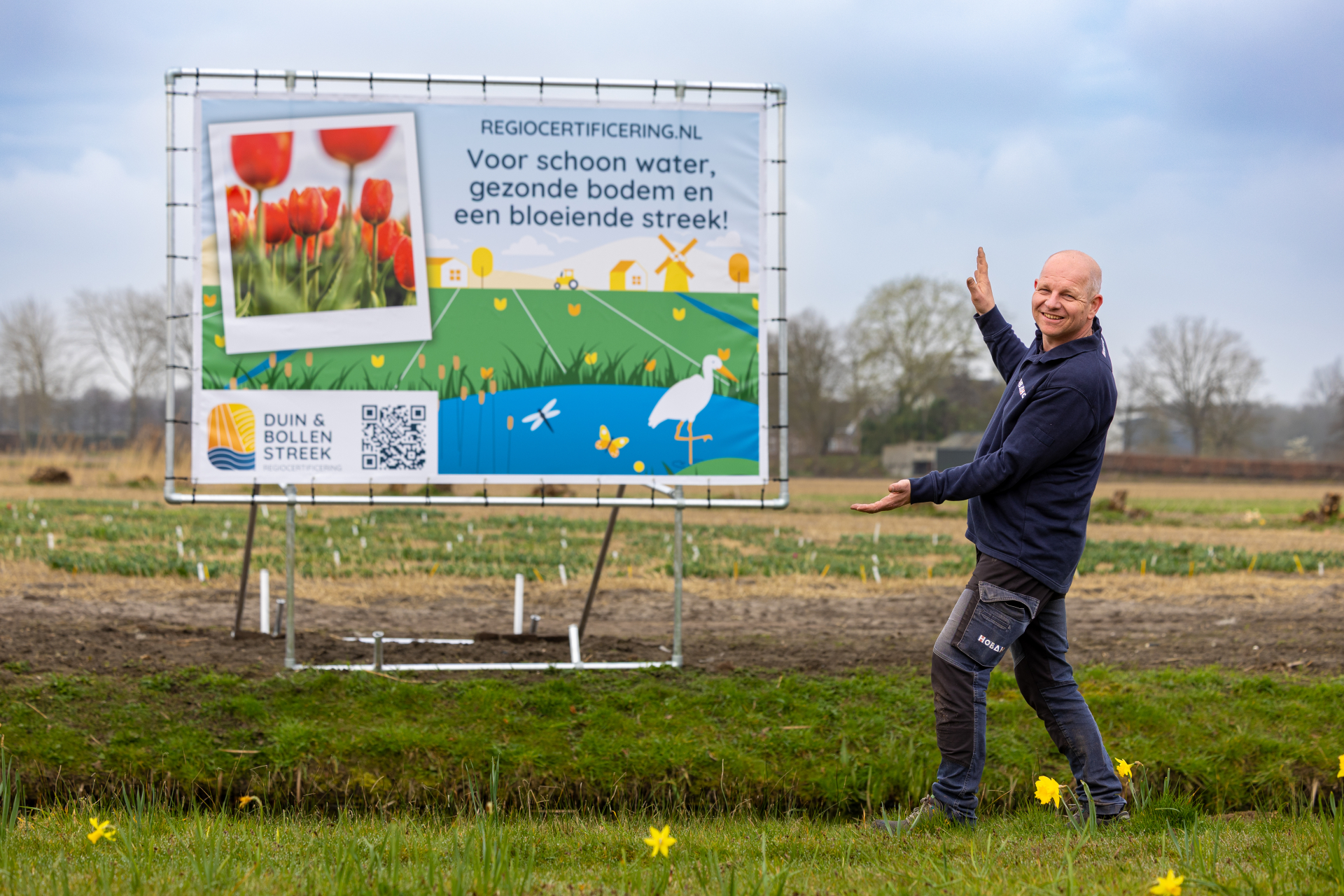 Hobaho maakt deelname aan regiocertificering zichtbaar in het tulpenveld.
