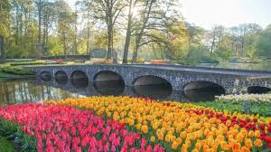 Keukenhof