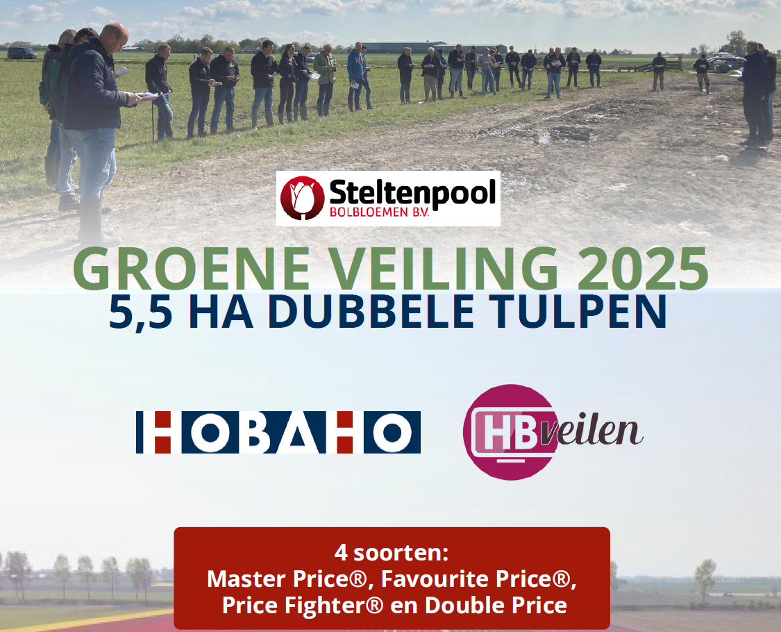 Groene veiling Steltenpool Bolbloemen B.V.