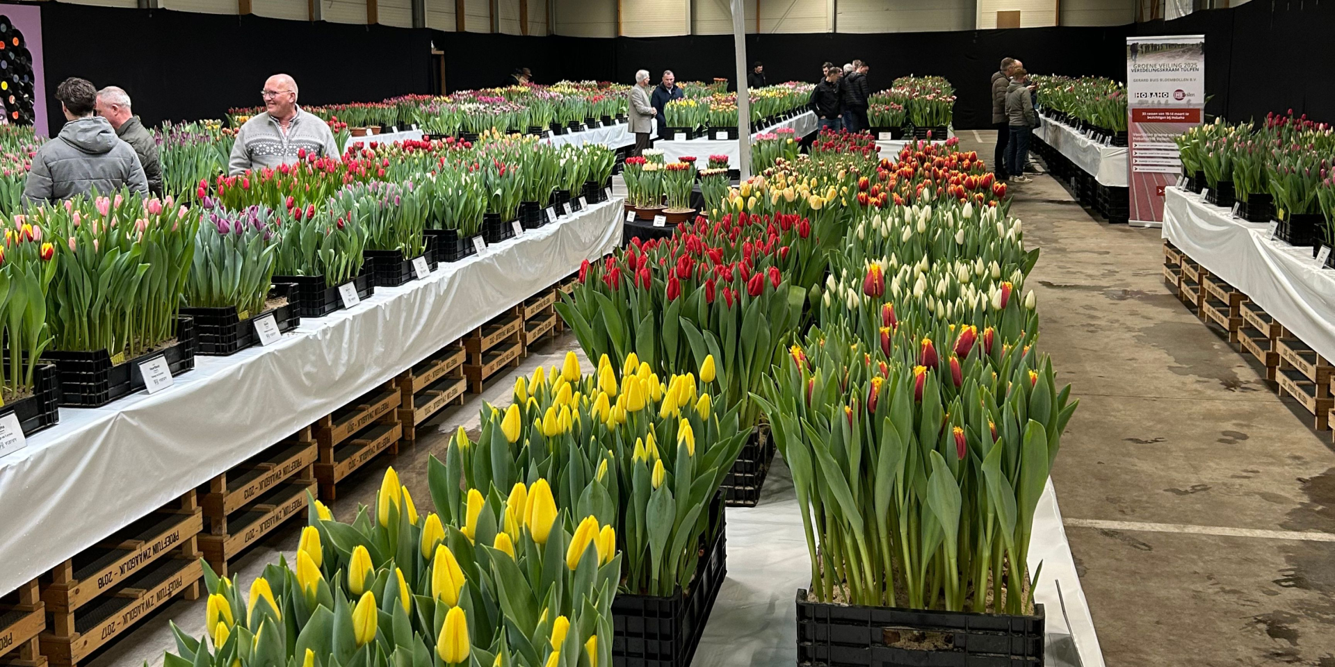 Vaktentoonstelling Zwaagdijk