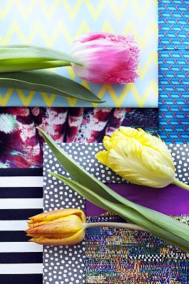 Tulpen algemeen 8