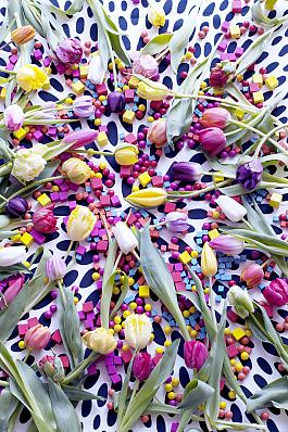 Tulpen algemeen 7