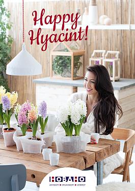 Hyacint algemeen 18