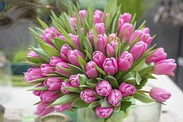 Jumbo Pink® 2