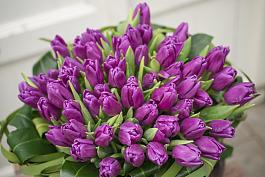Purple Flag 1