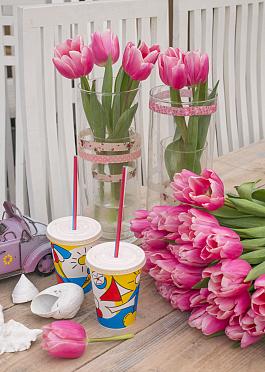 Milkshake® 2