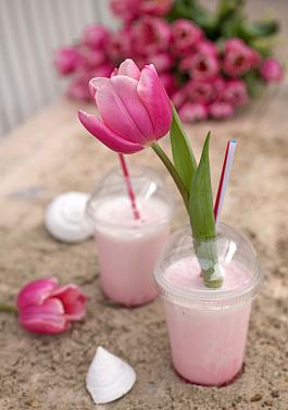 Milkshake® 17