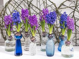Blue Pearl® 13