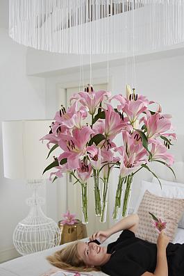 Pink Palace® 11