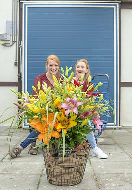 Casino Lilies mix 18