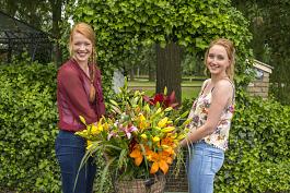 Casino Lilies mix 9