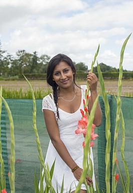 Holland Gladiolus mix 12
