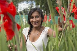 Holland Gladiolus mix 11