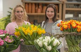 Remarkable Tulips mix 12