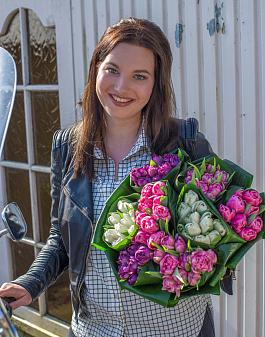 Remarkable Tulips mix 18