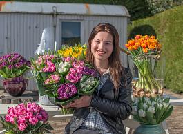 Remarkable Tulips mix 17