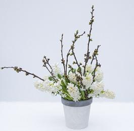 White Ideal® 14