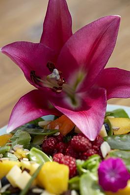 Robina® 18