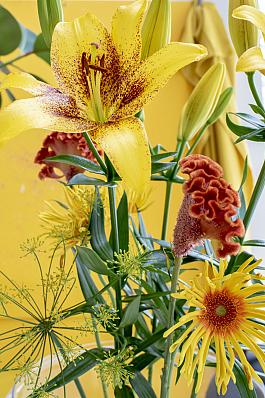 Yellow Brush® 16