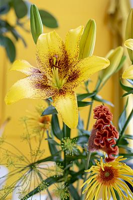 Yellow Brush® 15
