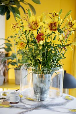 Yellow Brush® 13