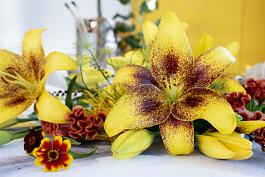 Yellow Brush® 10
