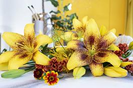 Yellow Brush® 9