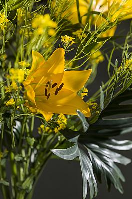 Beau Soleil® 7