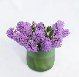 Splendid Cornelia 2
