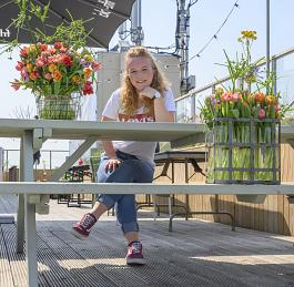 Tulpen algemeen 3