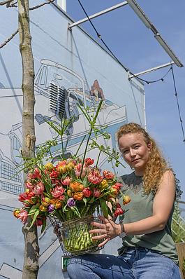Tulpen algemeen 0