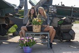 Tulpen algemeen 6