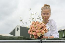 Tulpen algemeen 1