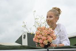 Tulpen algemeen 0