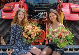 Tulpen algemeen  19