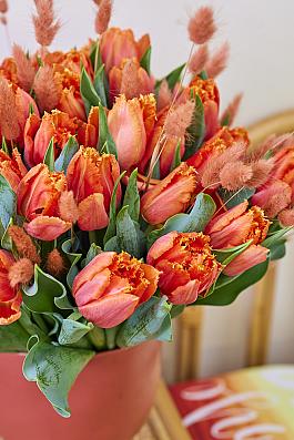 Orange Passion® 10