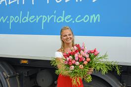 Tulpen algemeen 15