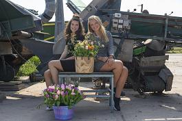 Tulpen algemeen 12