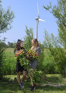 Tulpen algemeen 9