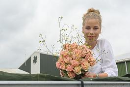 Tulpen algemeen 7
